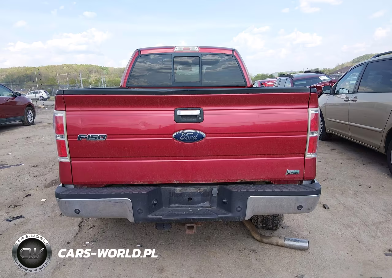 2010 Ford F-150 Fx4-Harley-Davidson-King Ranch-Lariat-Platinum-Xl-Xlt VIN:1FTFW1EV5AFB38943 - 16