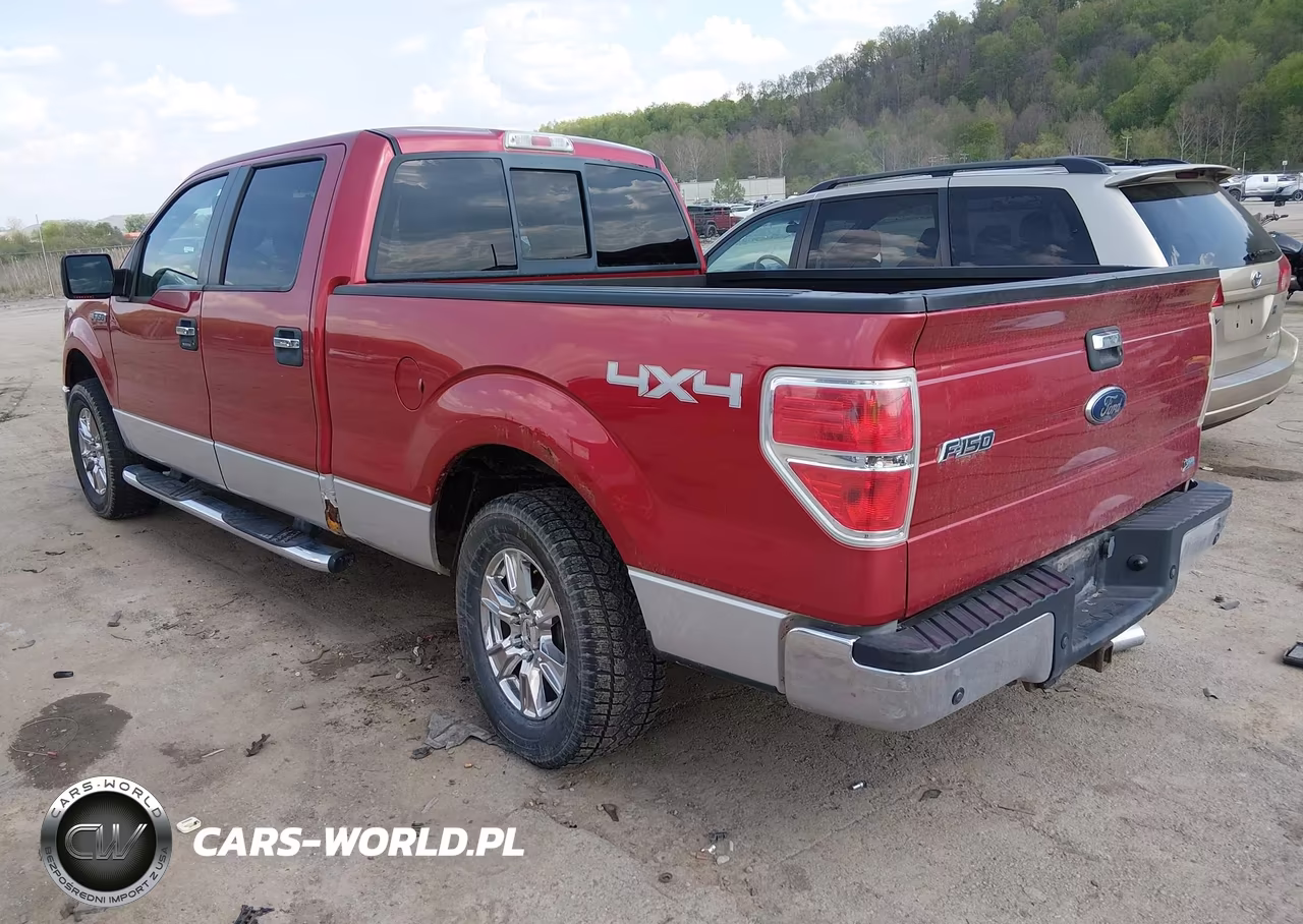 2010 Ford F-150 Fx4-Harley-Davidson-King Ranch-Lariat-Platinum-Xl-Xlt VIN:1FTFW1EV5AFB38943 - 3