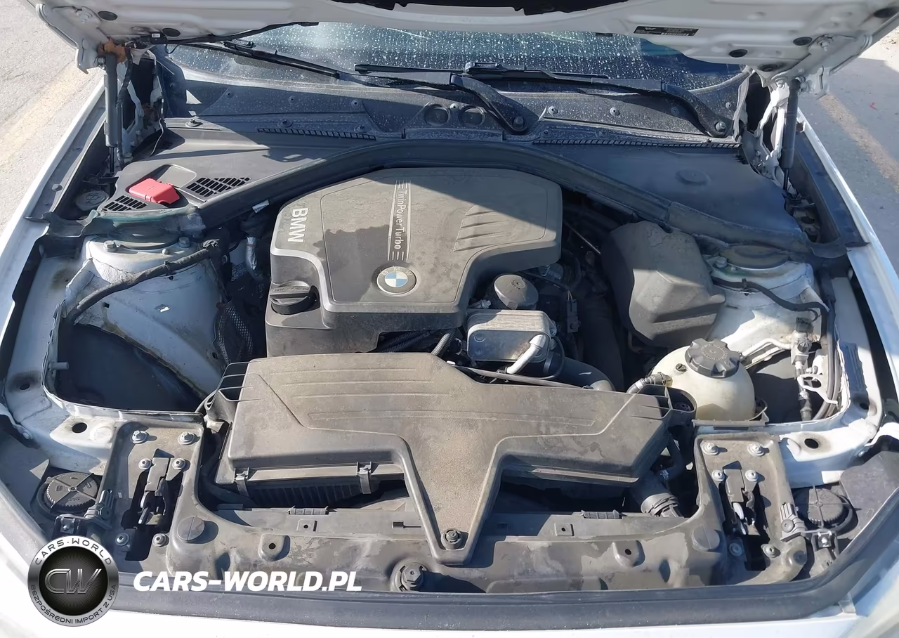2014 BMW 228I VIN:WBA1F5C50EVV98864 - 10