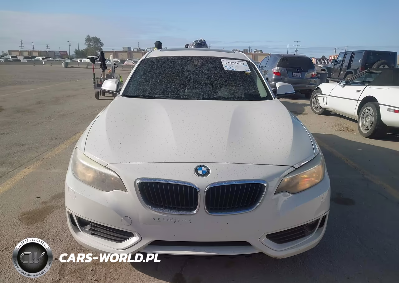 2014 BMW 228I VIN:WBA1F5C50EVV98864 - 12