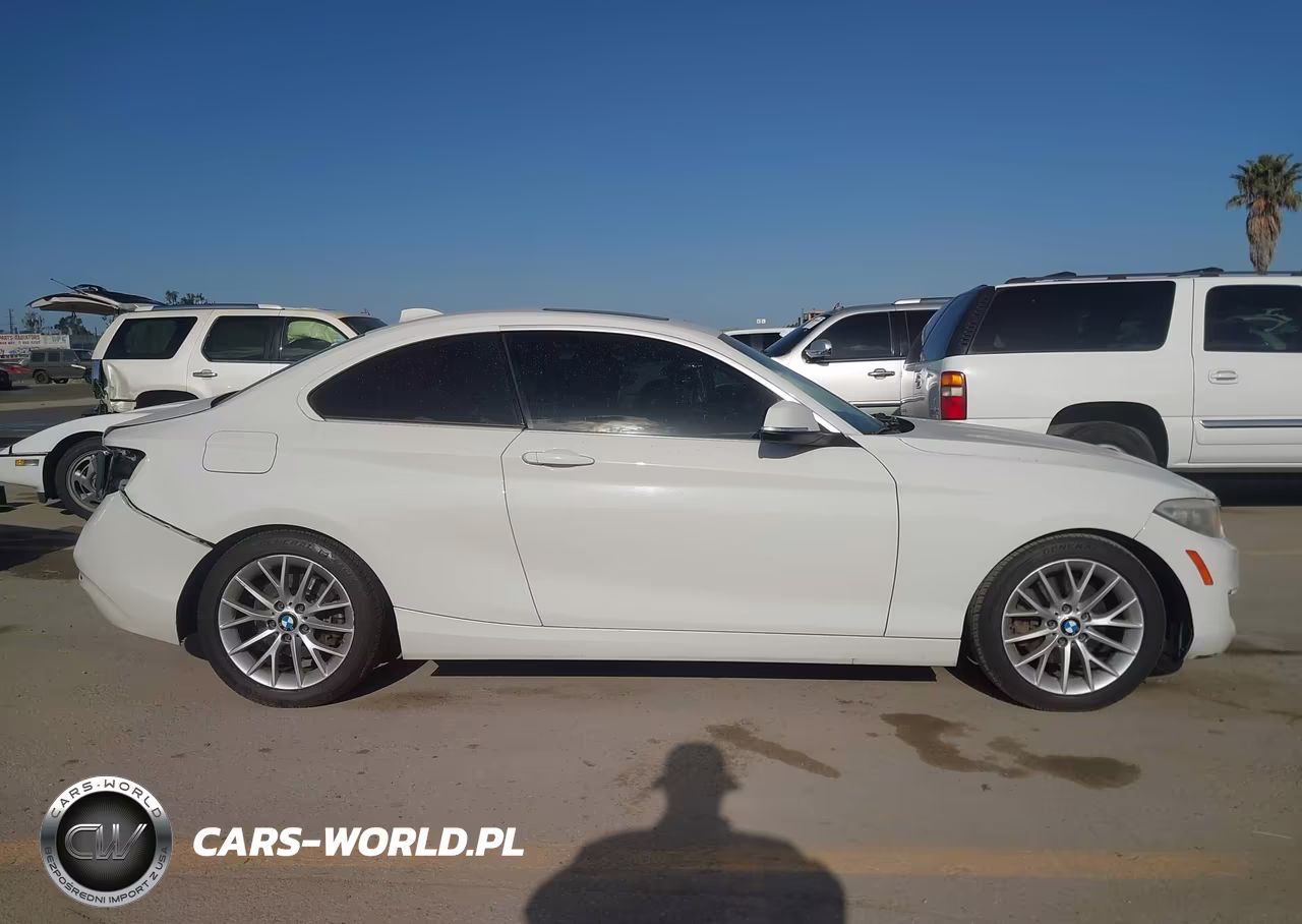 2014 BMW 228I VIN:WBA1F5C50EVV98864 - 13