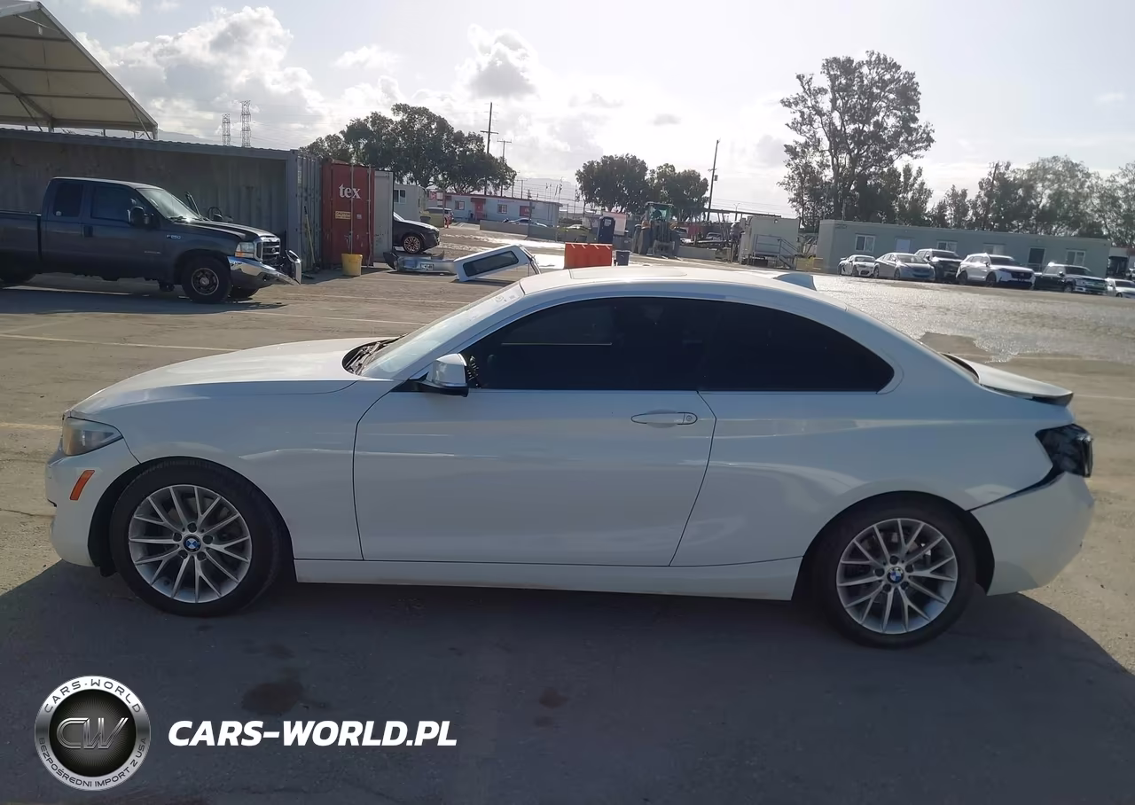 2014 BMW 228I VIN:WBA1F5C50EVV98864 - 14