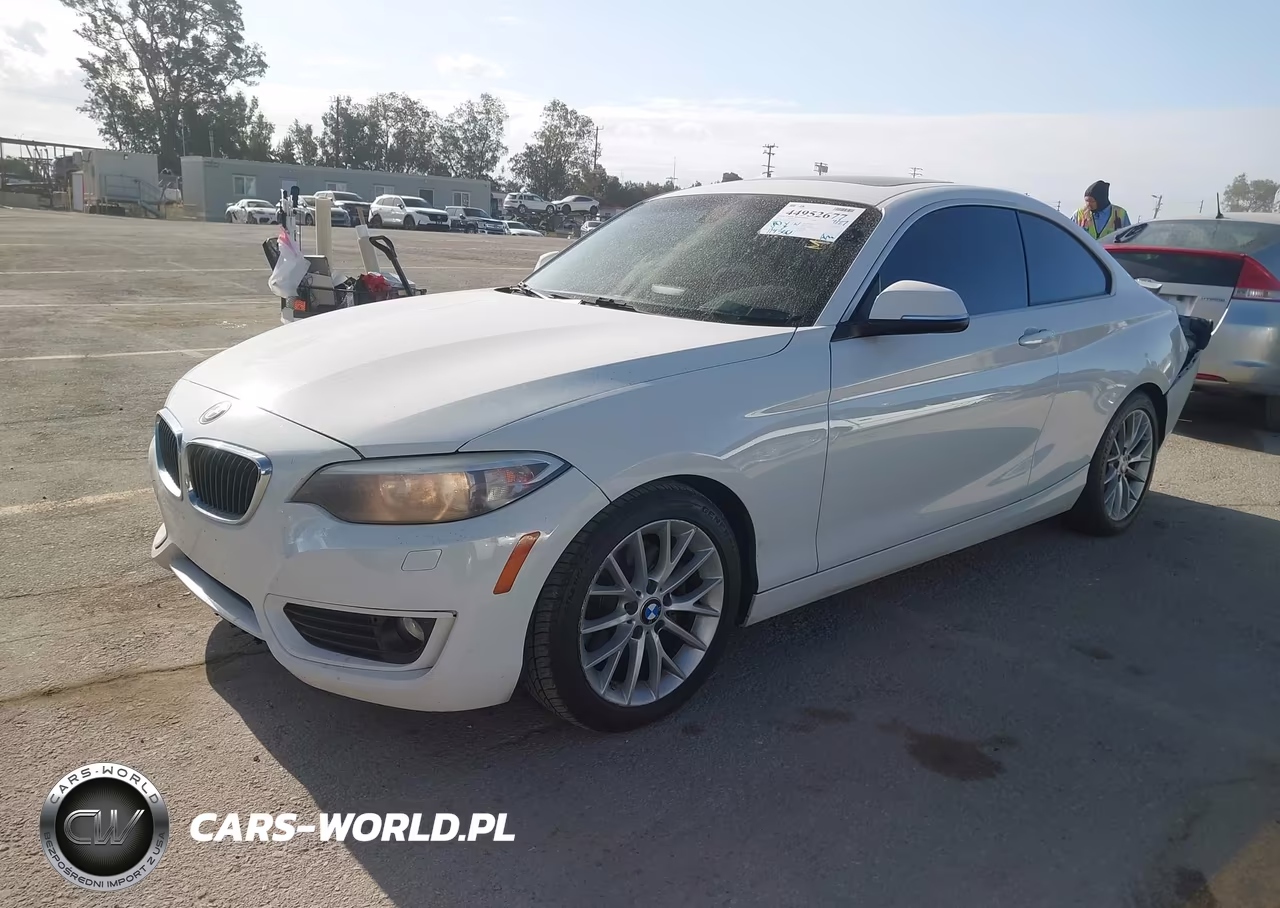 2014 BMW 228I VIN:WBA1F5C50EVV98864 - 2