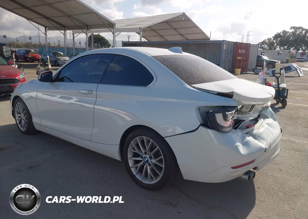 2014 BMW 228I VIN:WBA1F5C50EVV98864 - 3