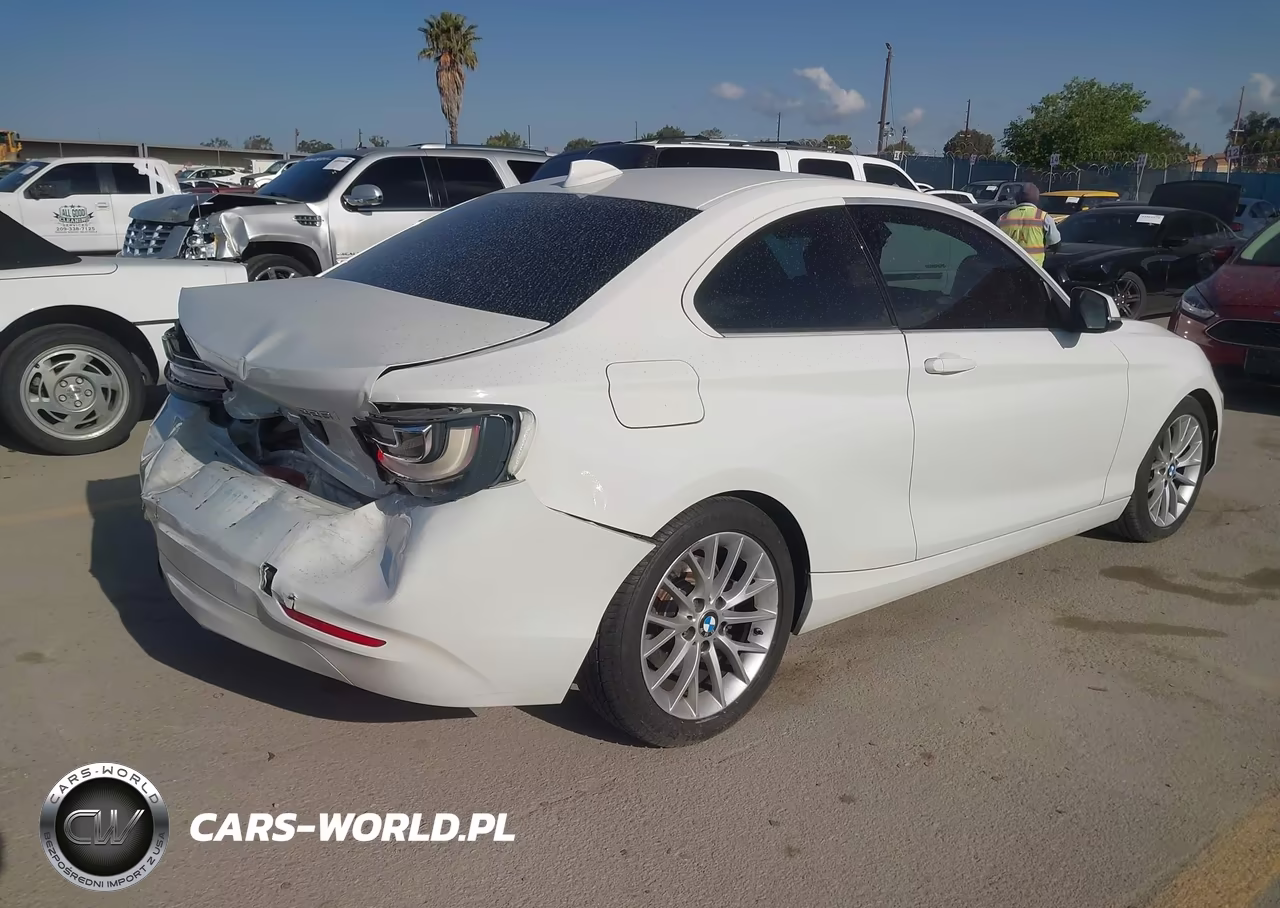 2014 BMW 228I VIN:WBA1F5C50EVV98864 - 4