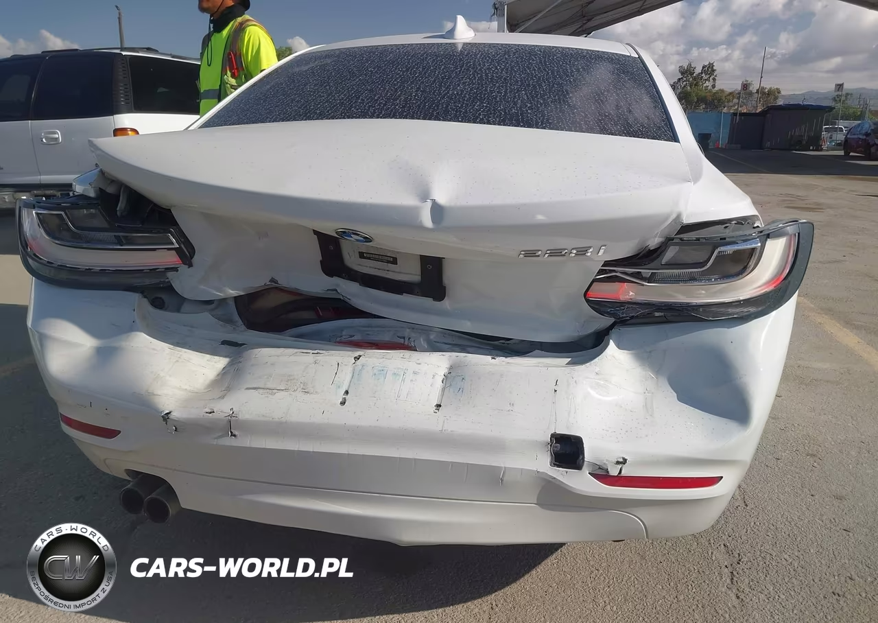 2014 BMW 228I VIN:WBA1F5C50EVV98864 - 6