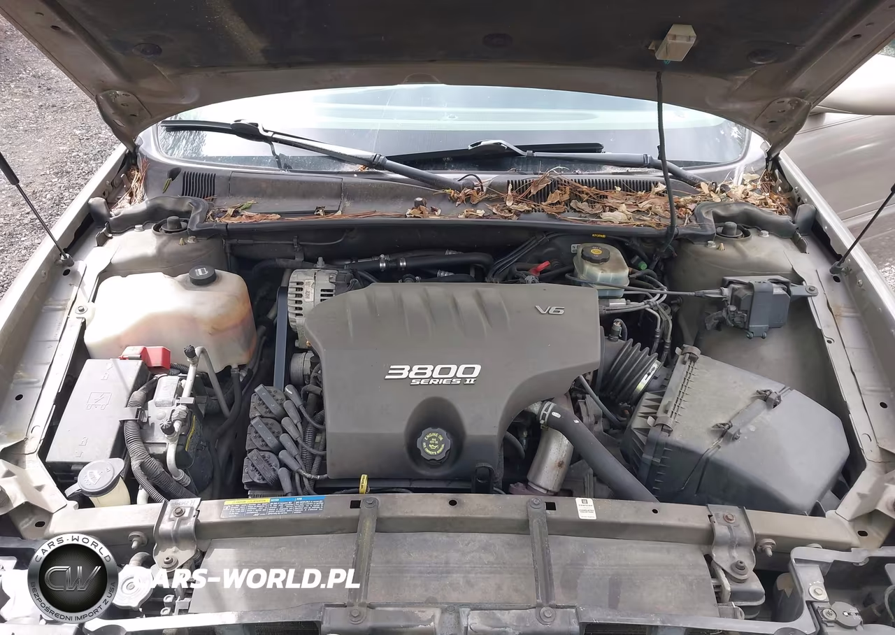 2002 Buick Lesabre Custom VIN:1G4HP54K924171165 - 10