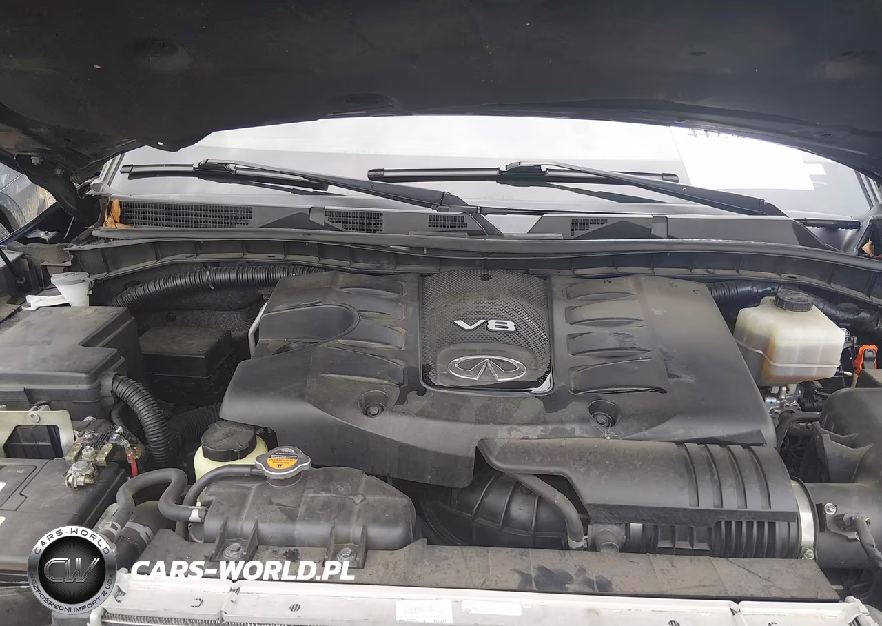 2016 Infiniti Qx80 VIN:JN8AZ2ND4G9800294 - 10