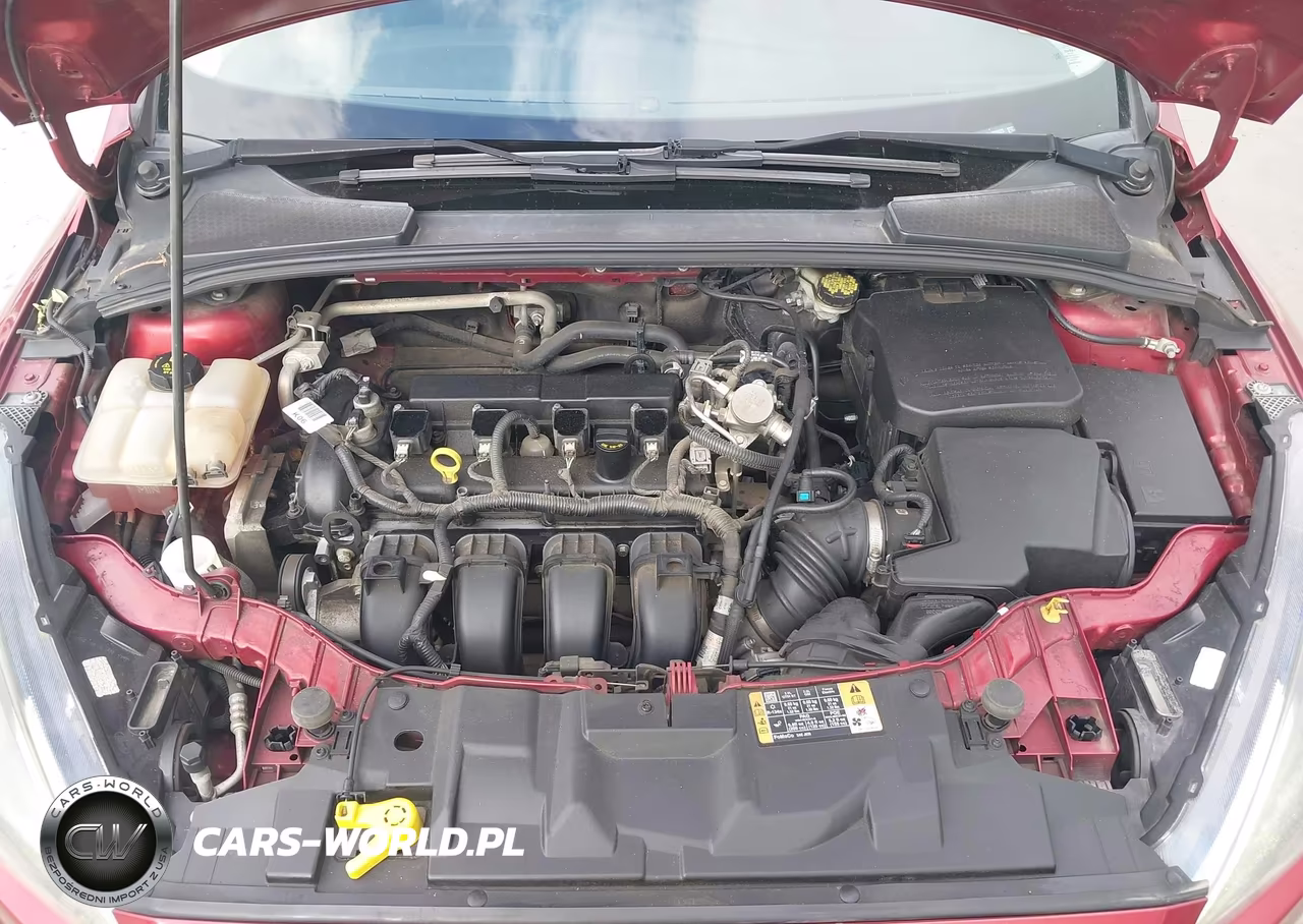 2016 Ford Focus Se VIN:1FADP3K25GL328025 - 10