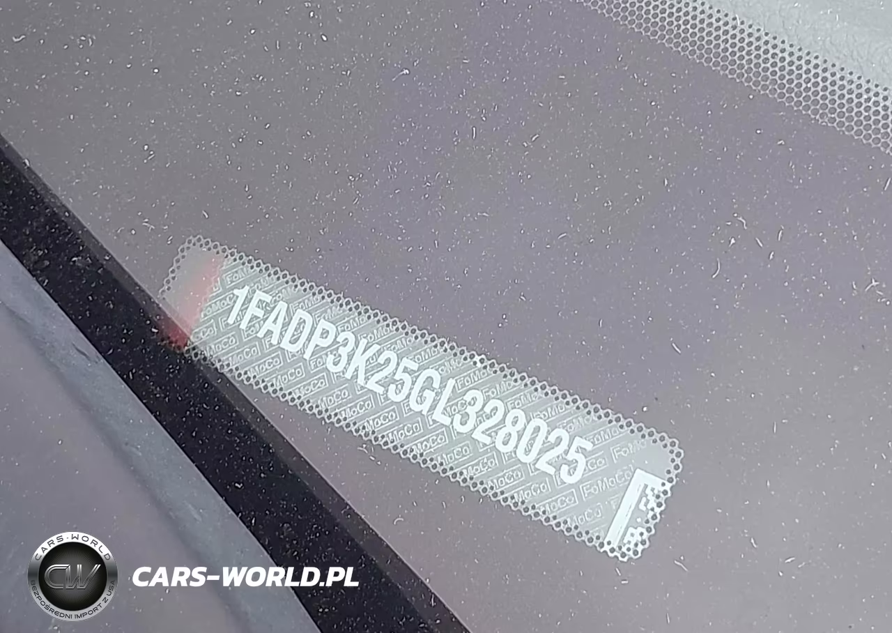 2016 Ford Focus Se VIN:1FADP3K25GL328025 - 17