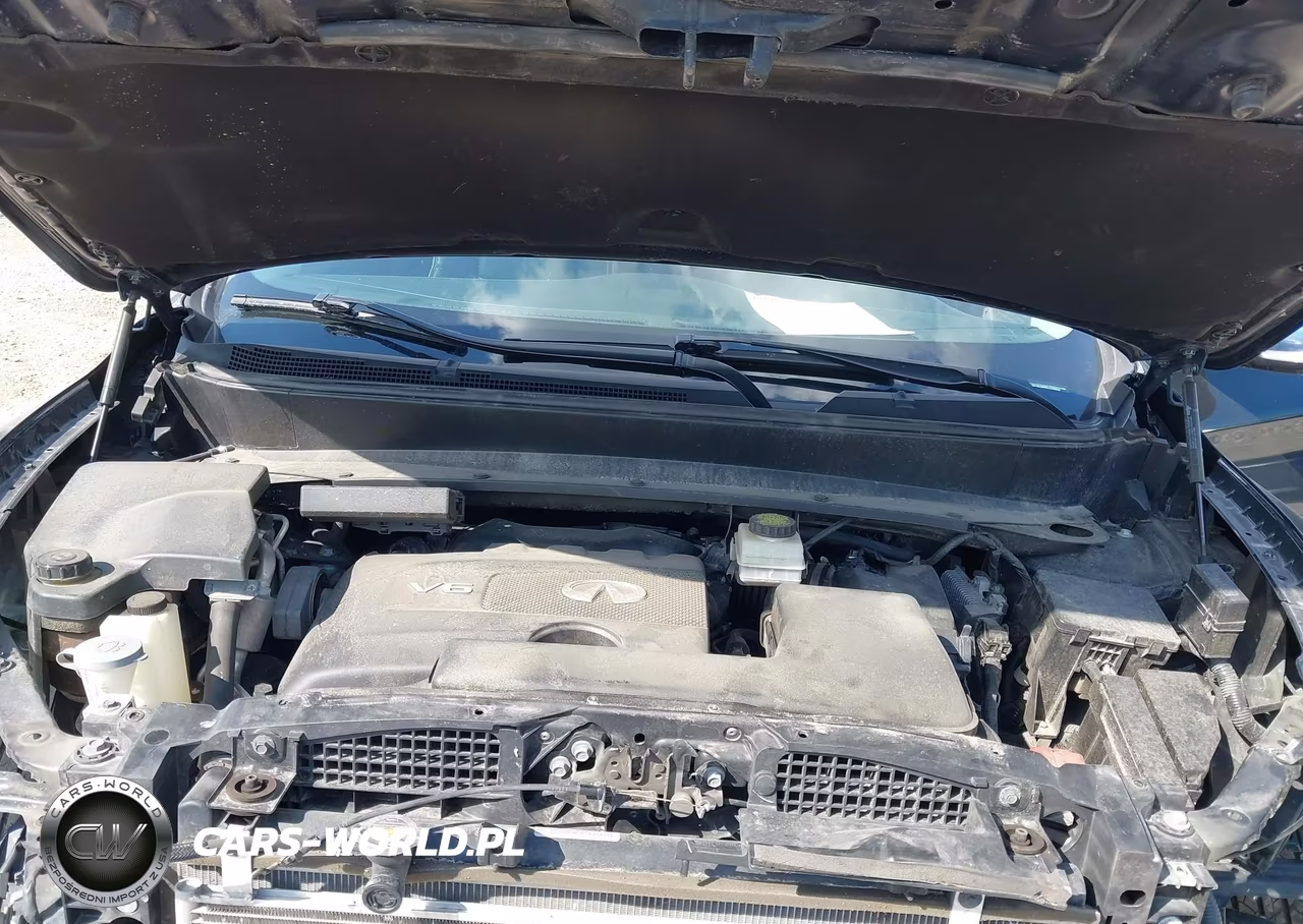 2020 Infiniti Qx60 Pure VIN:5N1DL0MN6LC539929 - 10