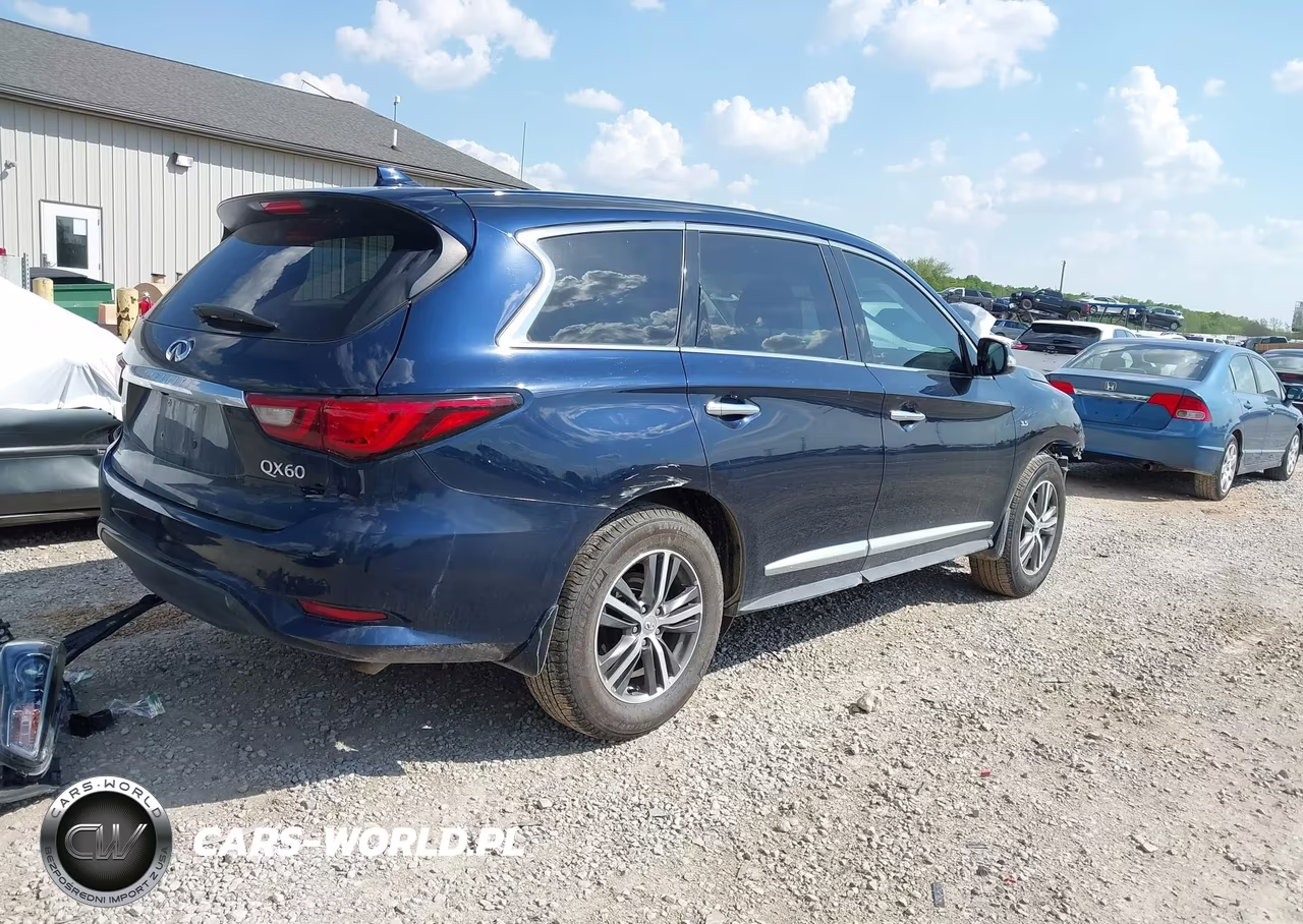 2020 Infiniti Qx60 Pure VIN:5N1DL0MN6LC539929 - 4