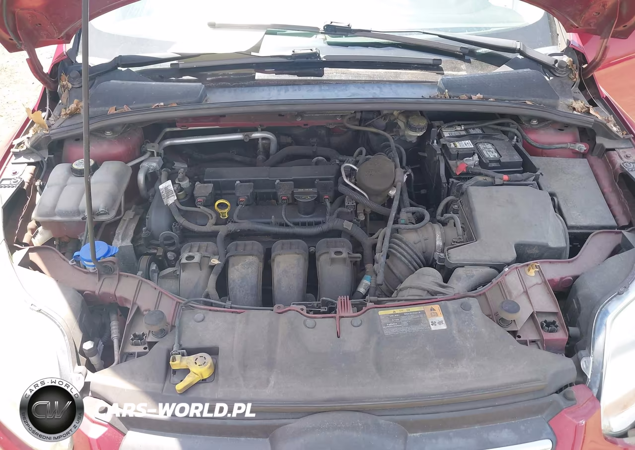 2013 Ford Focus Se VIN:1FADP3F24DL324943 - 10
