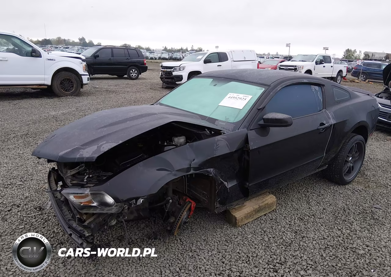 2011 Ford Mustang V6 VIN:1ZVBP8AM0B5169653 - 2