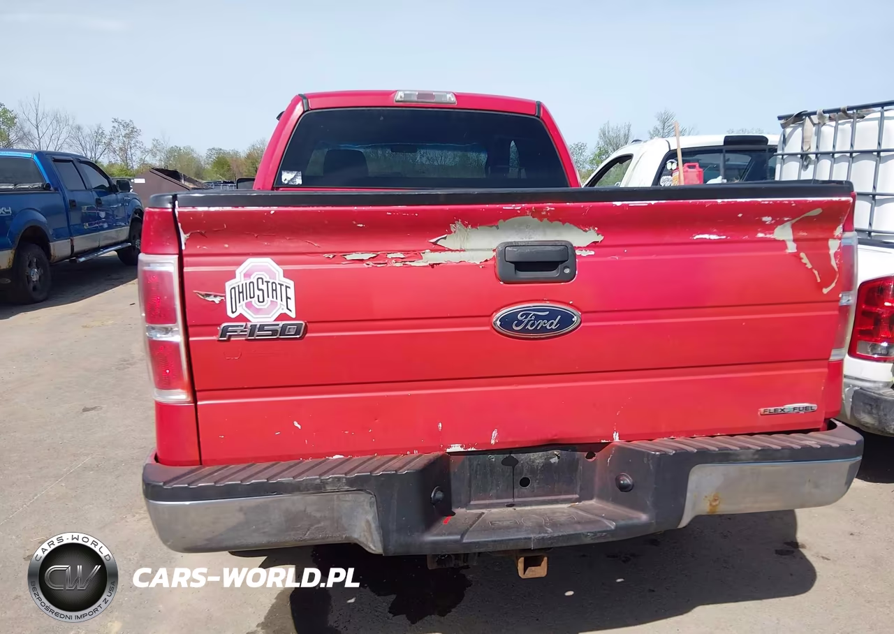 2010 Ford F-150 Stx-Xl-Xlt VIN:1FTEX1E87AFA98772 - 16