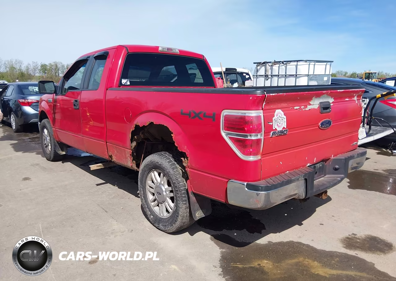 2010 Ford F-150 Stx-Xl-Xlt VIN:1FTEX1E87AFA98772 - 3