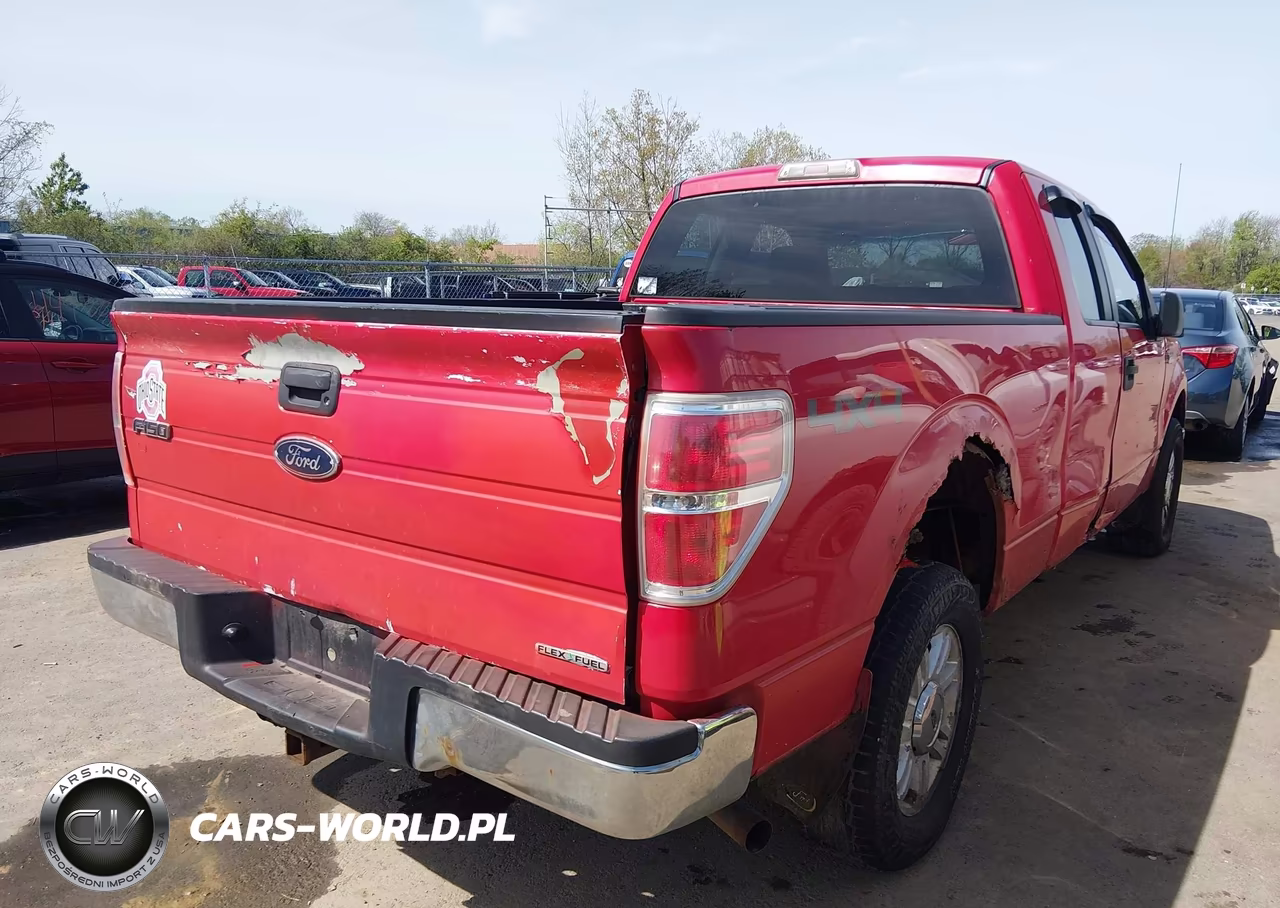 2010 Ford F-150 Stx-Xl-Xlt VIN:1FTEX1E87AFA98772 - 4