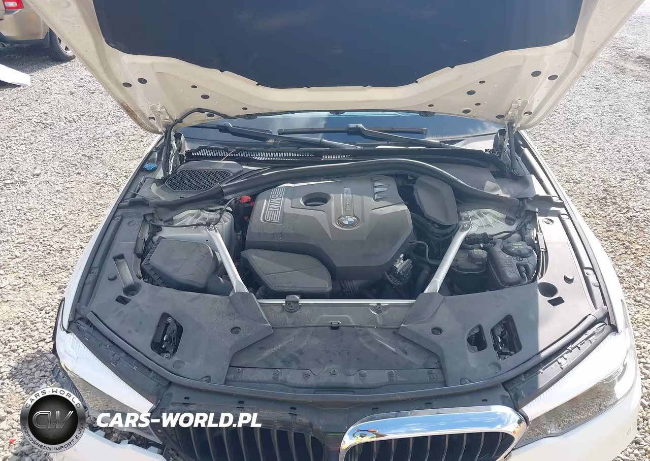 2019 BMW 530I VIN:WBAJA5C55KWW09717 - 10