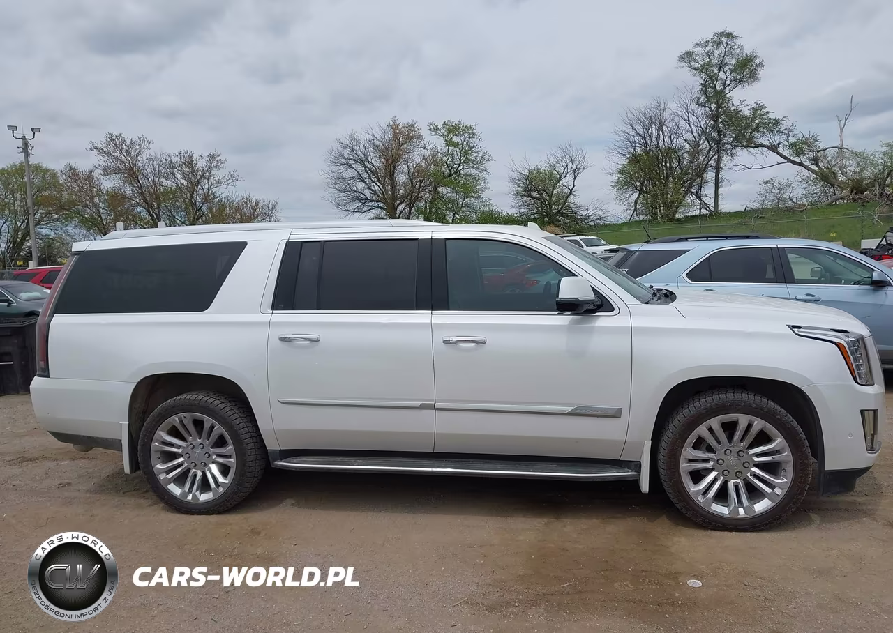 2017 Cadillac Escalade Esv Luxury VIN:1GYS4HKJ1HR213140 - 13