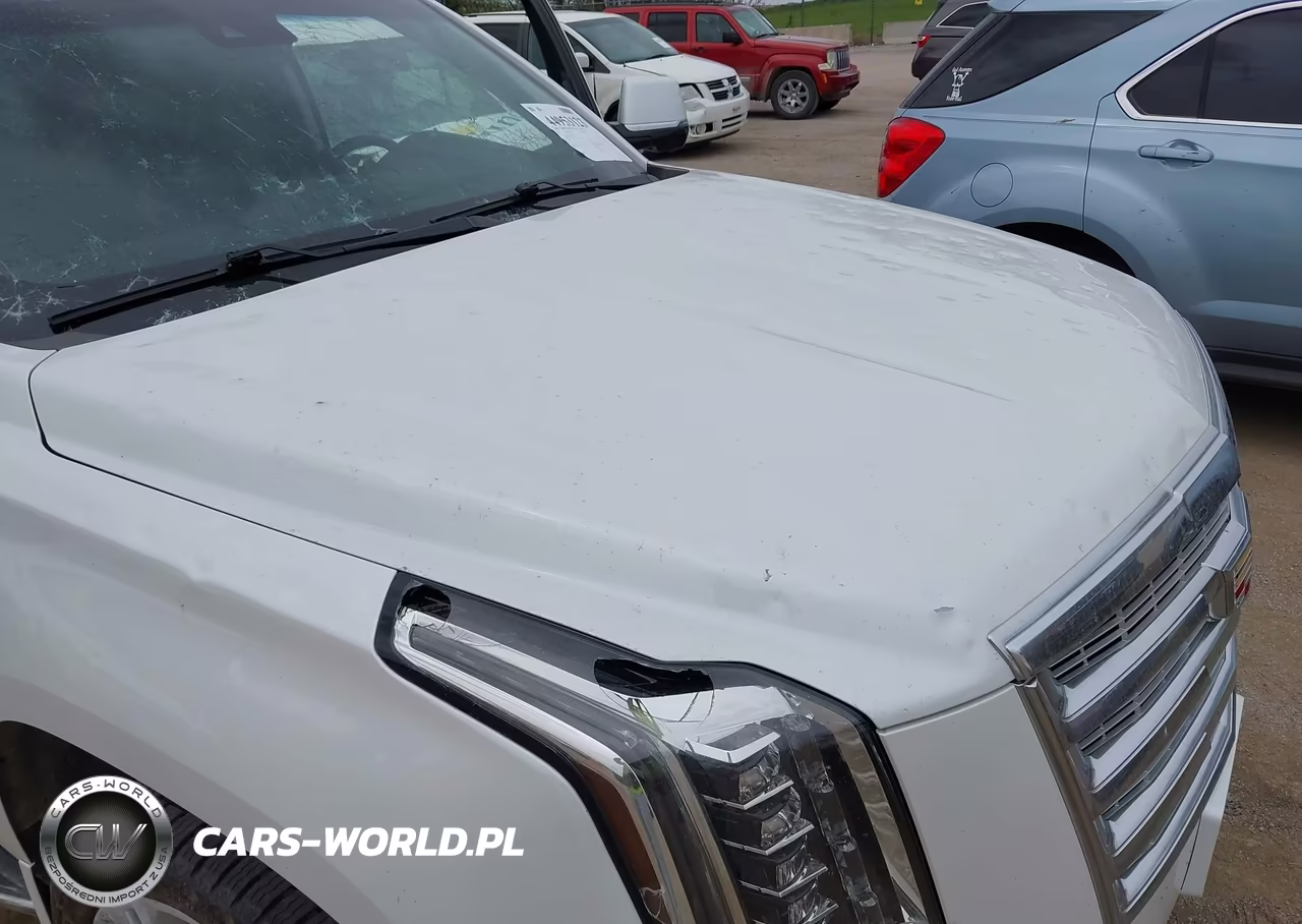 2017 Cadillac Escalade Esv Luxury VIN:1GYS4HKJ1HR213140 - 6
