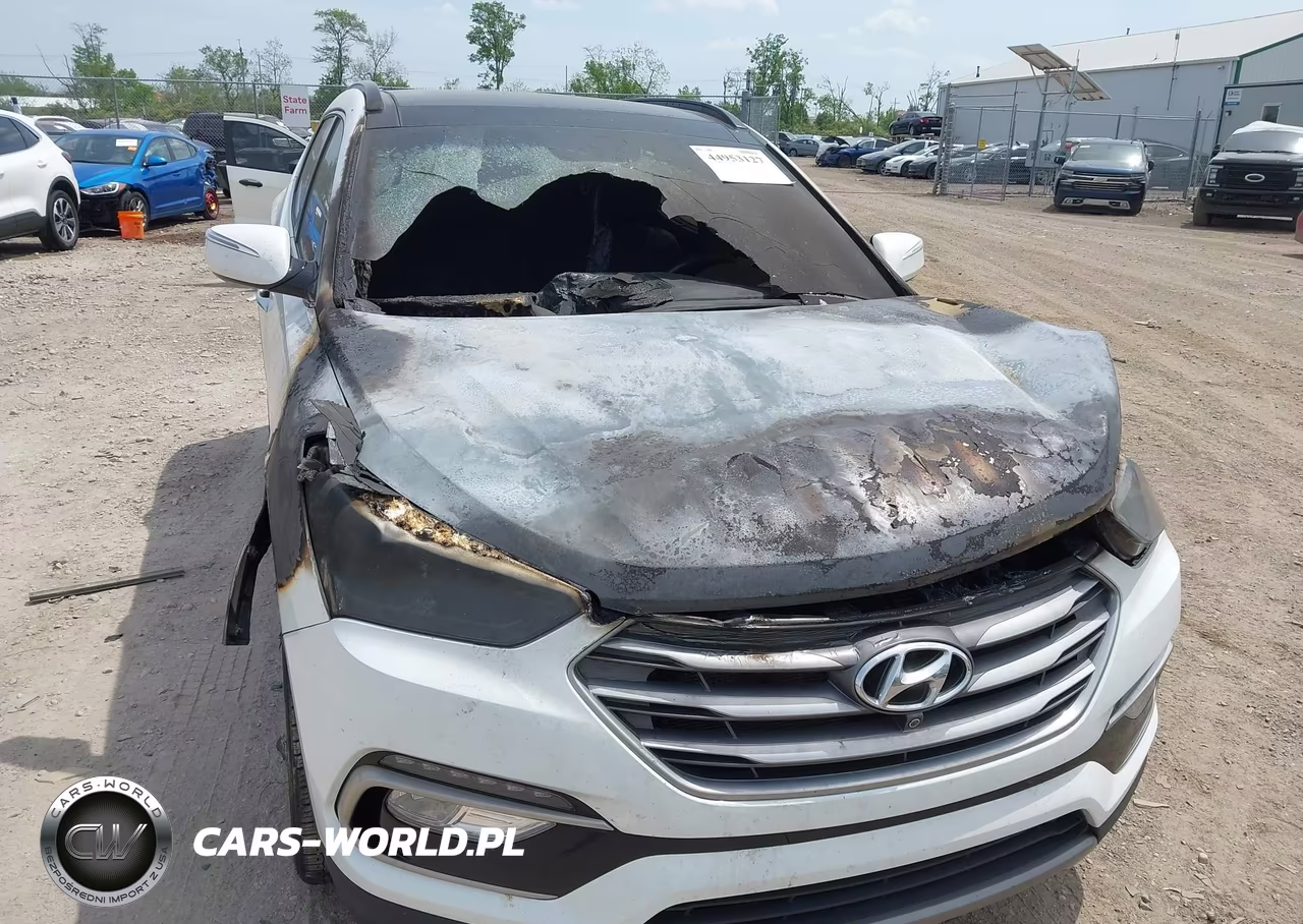 2017 Hyundai Santa Fe Sport 2.0T Ultimate VIN:5XYZWDLA1HG501504 - 6