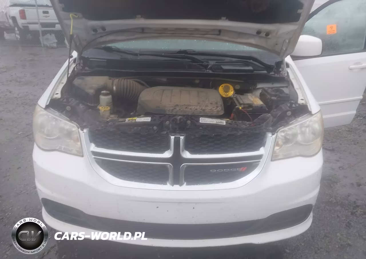 2014 Dodge Grand Caravan Sxt VIN:2C4RDGCG2ER183878 - 10