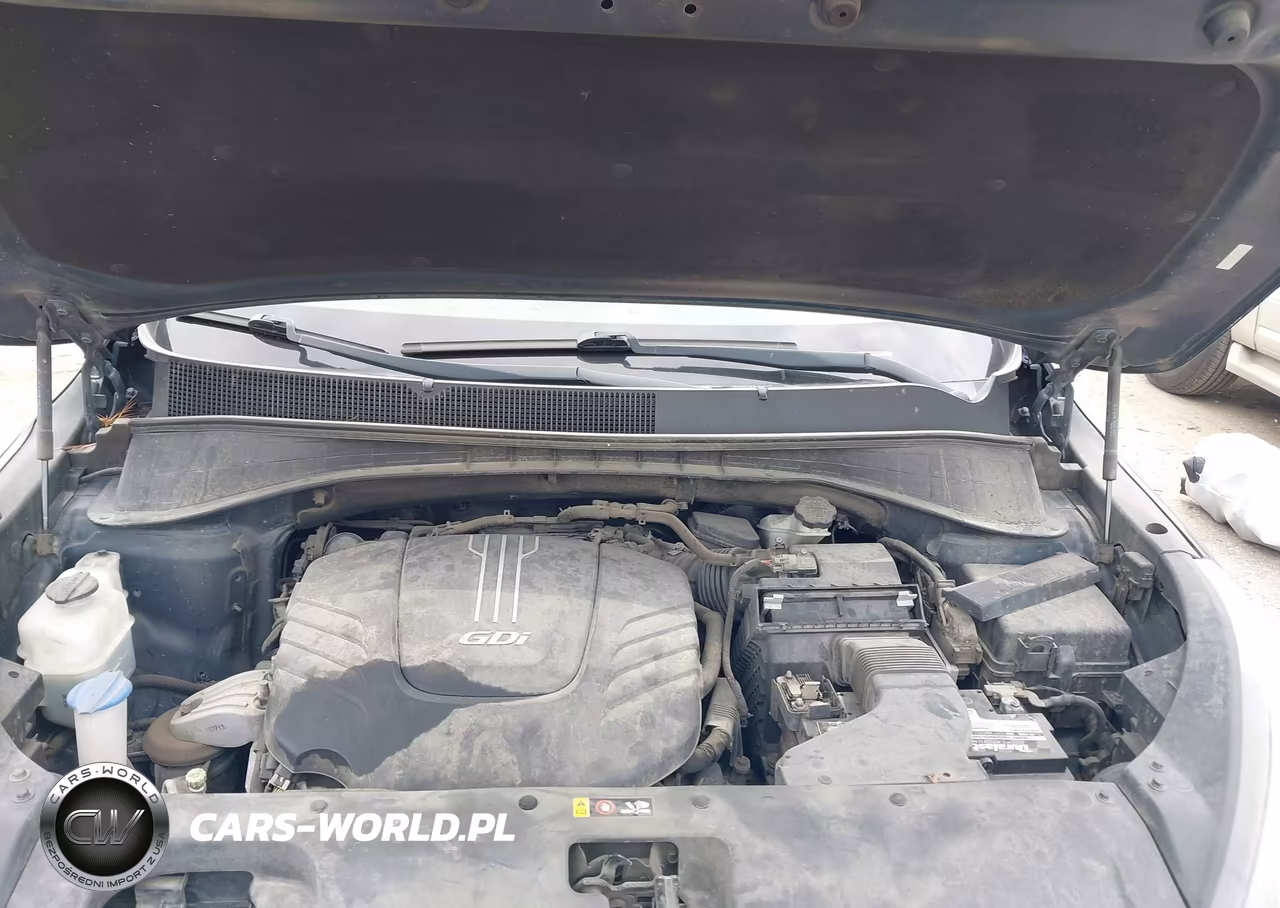 2017 Kia Sorento 3.3L Lx VIN:5XYPGDA55HG308637 - 10