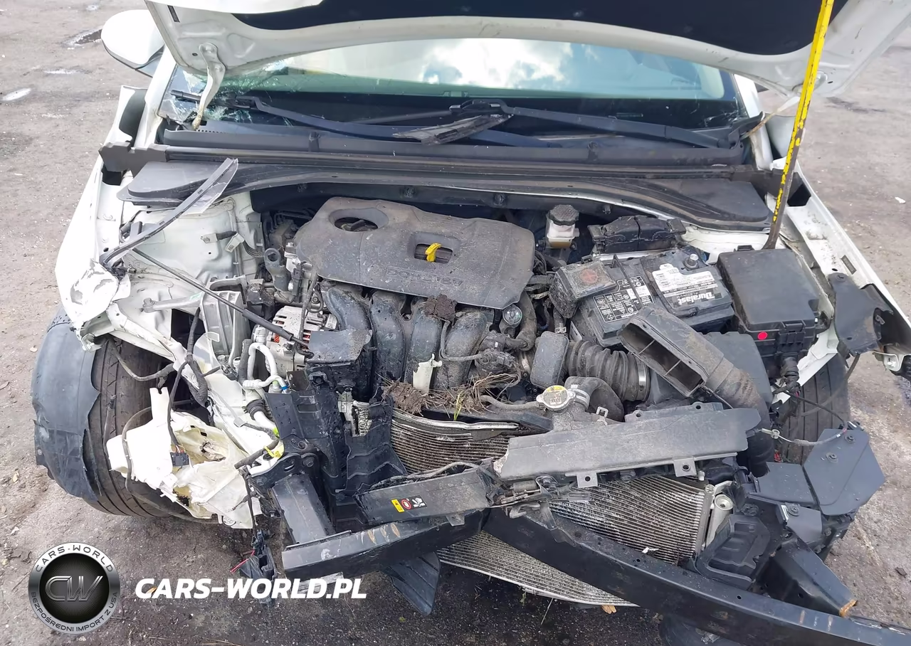 2019 Hyundai Elantra Sel VIN:5NPD84LF8KH435520 - 10