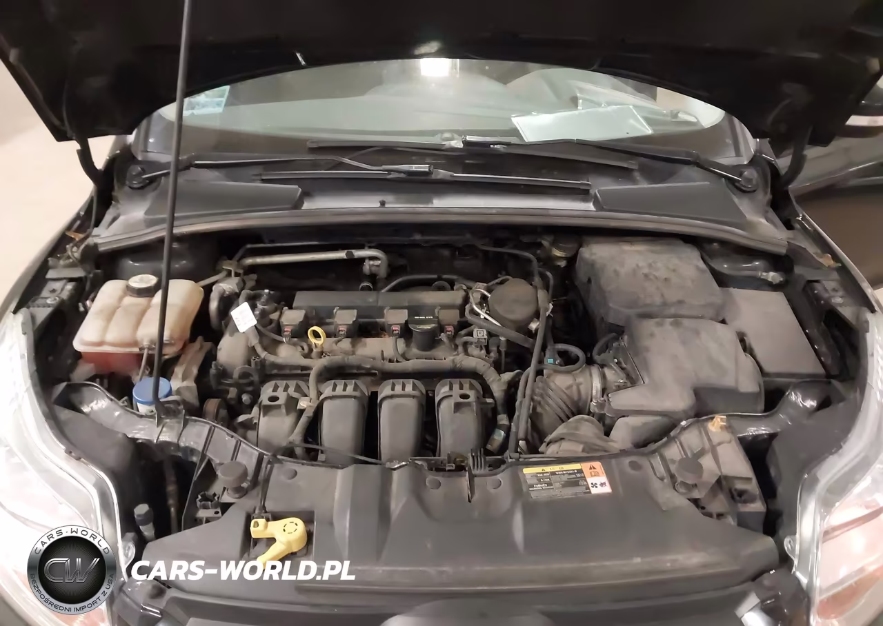 2013 Ford Focus Se VIN:1FADP3K25DL296186 - 10