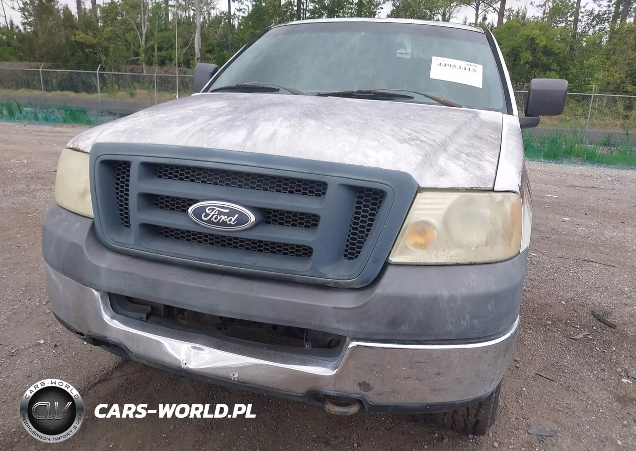 2005 Ford F-150 Fx4-Lariat-Xl-Xlt VIN:1FTVX14505NB44610 - 6