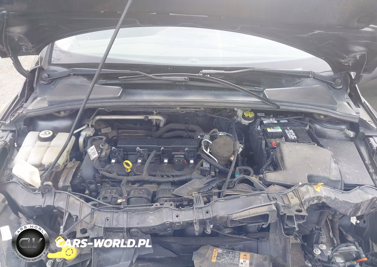 2016 Ford Focus Se VIN:1FADP3F2XGL244504 - 10