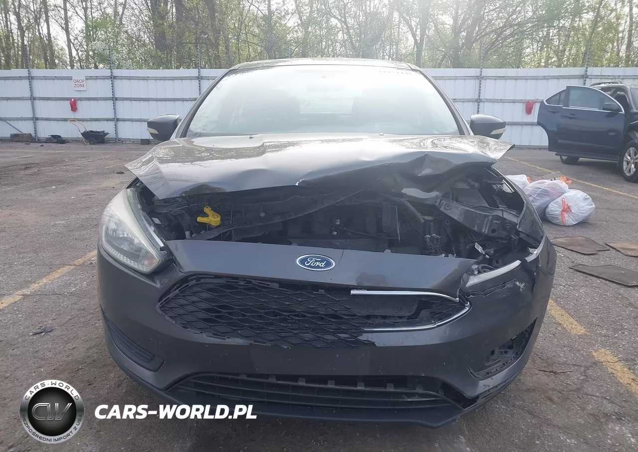 2016 Ford Focus Se VIN:1FADP3F2XGL244504 - 12
