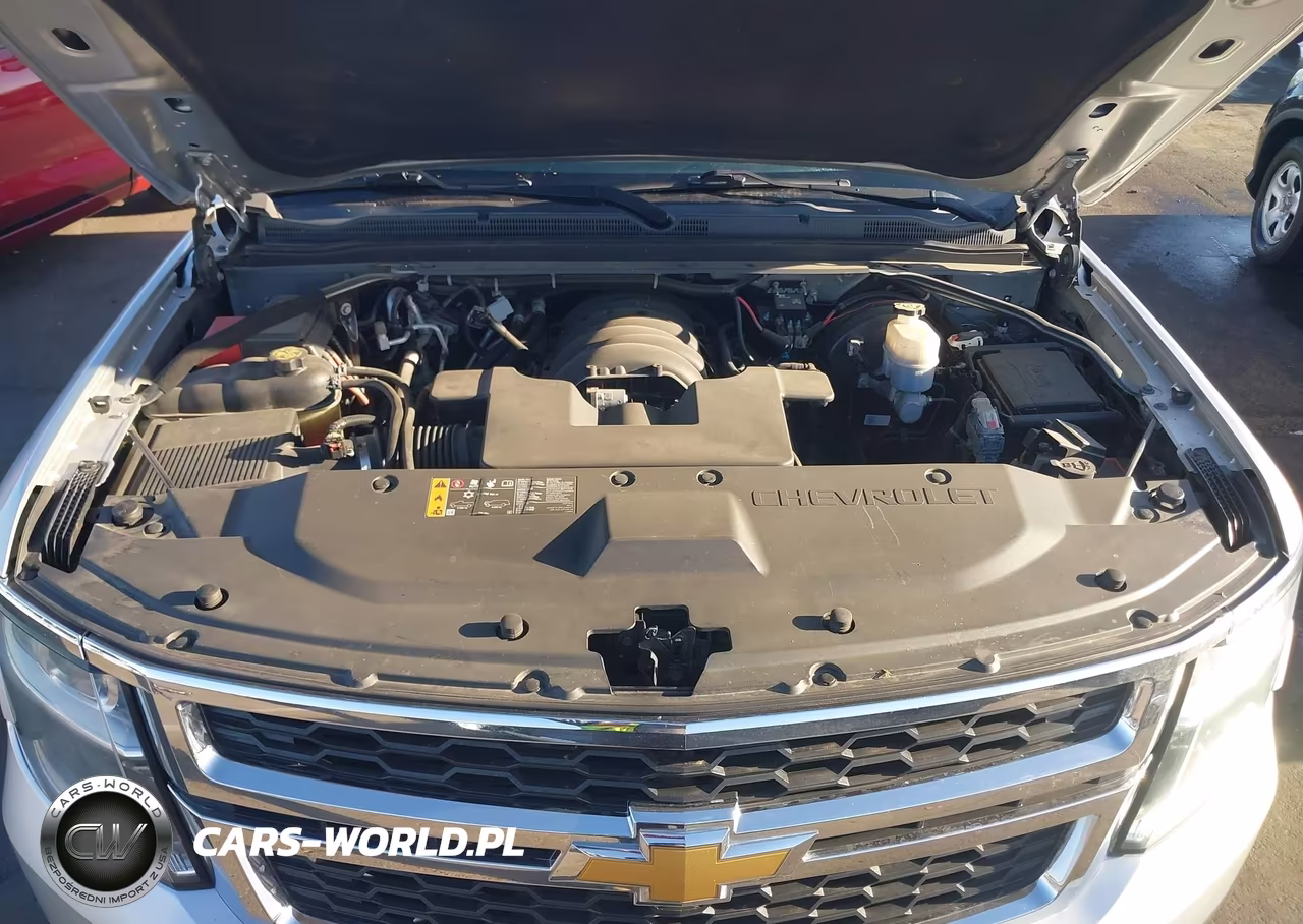 2019 Chevrolet Tahoe Commercial Fleet VIN:1GNLCDECXKR279817 - 10