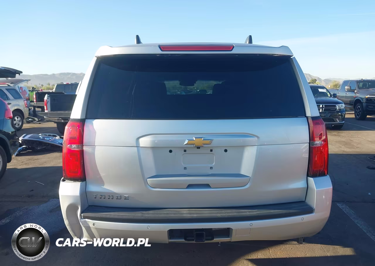 2019 Chevrolet Tahoe Commercial Fleet VIN:1GNLCDECXKR279817 - 17