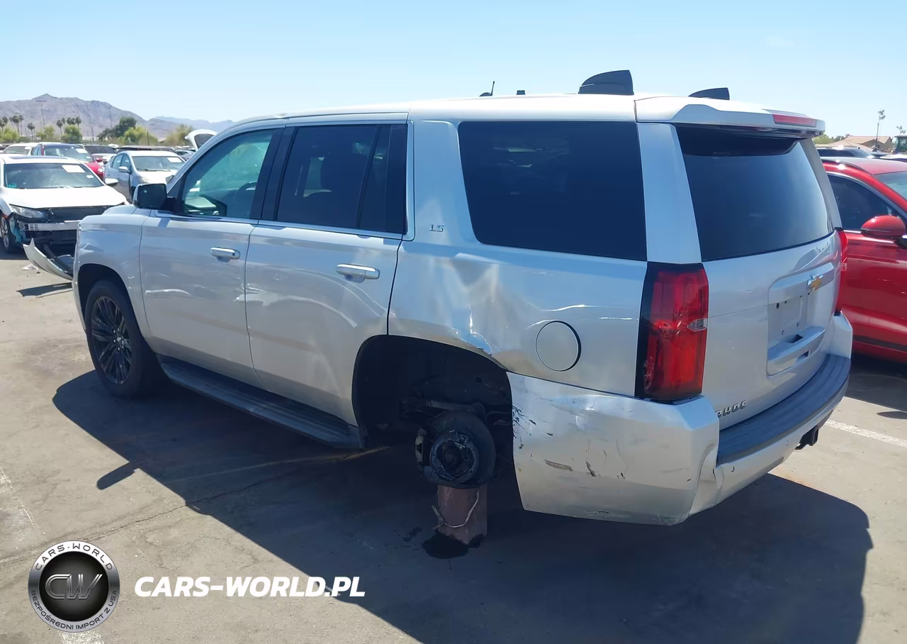 2019 Chevrolet Tahoe Commercial Fleet VIN:1GNLCDECXKR279817 - 3