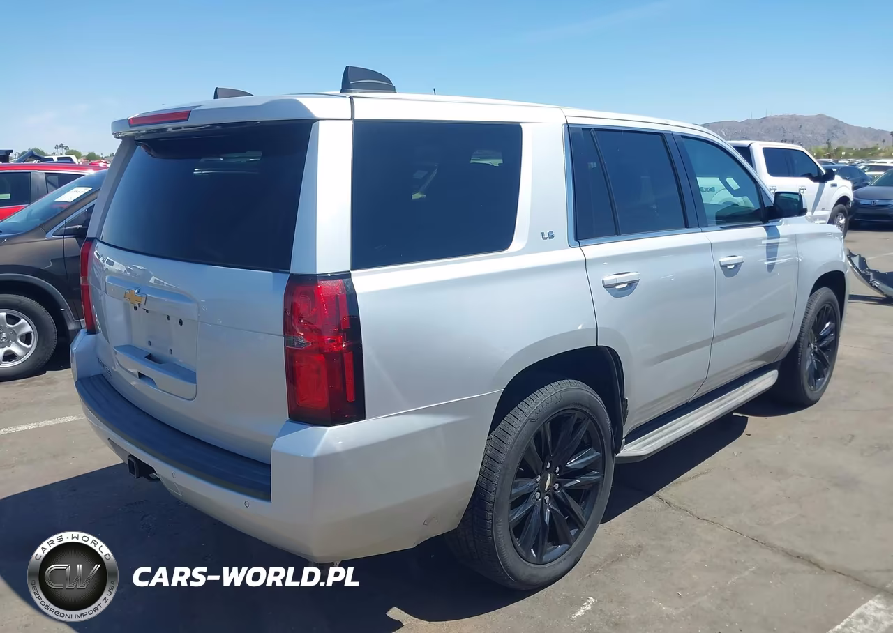 2019 Chevrolet Tahoe Commercial Fleet VIN:1GNLCDECXKR279817 - 4