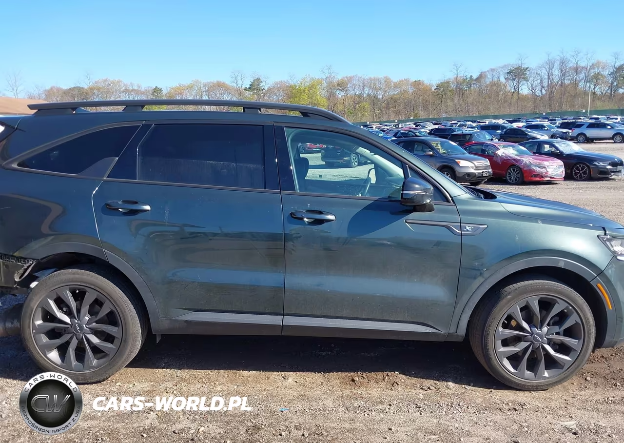2023 Kia Sorento X-Line Ex VIN:5XYRHDLF7PG211160 - 13