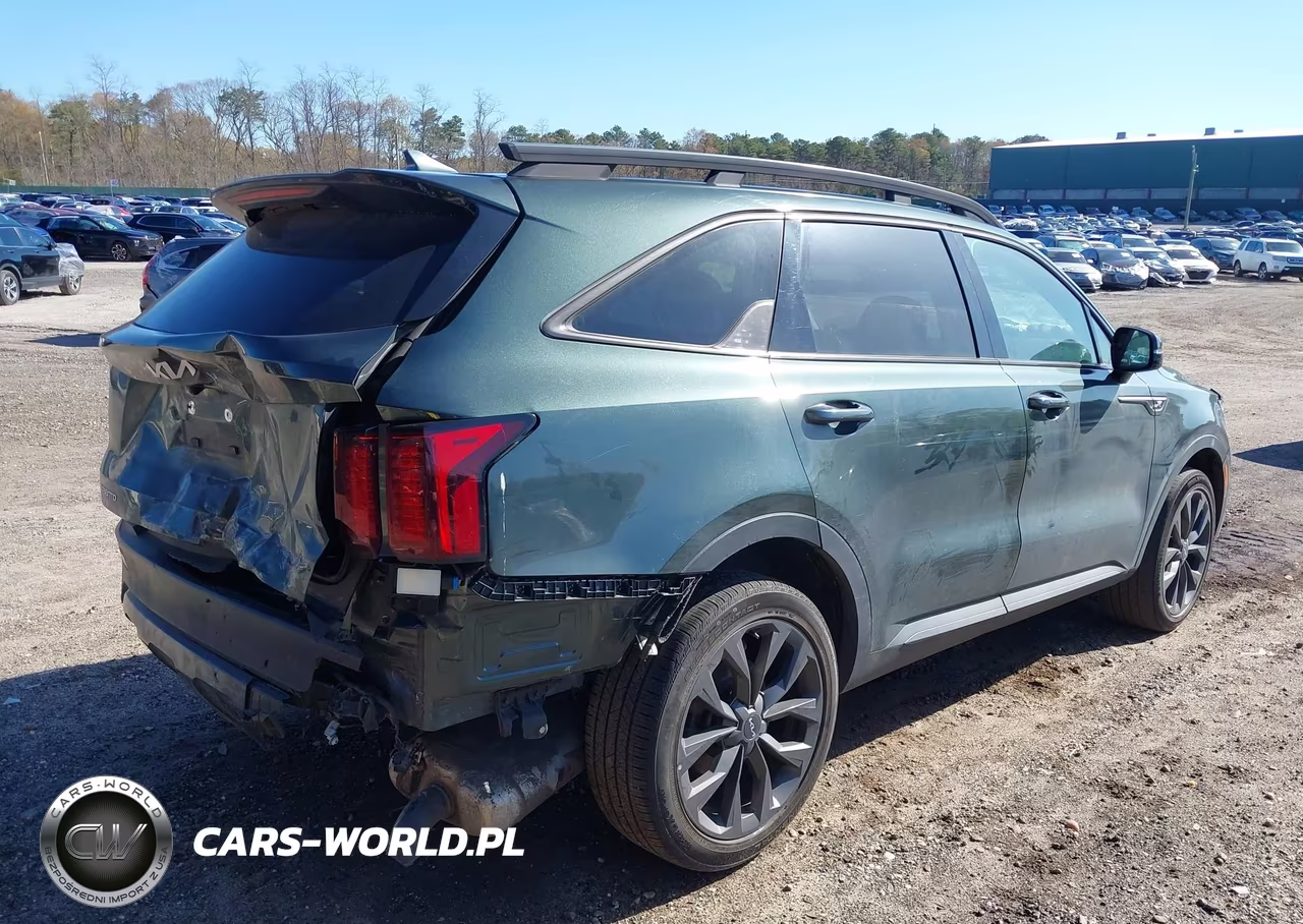 2023 Kia Sorento X-Line Ex VIN:5XYRHDLF7PG211160 - 4