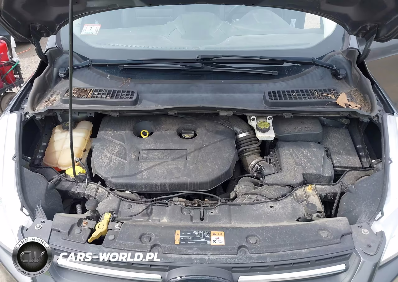 2015 Ford Escape Se VIN:1FMCU9G99FUC18543 - 10