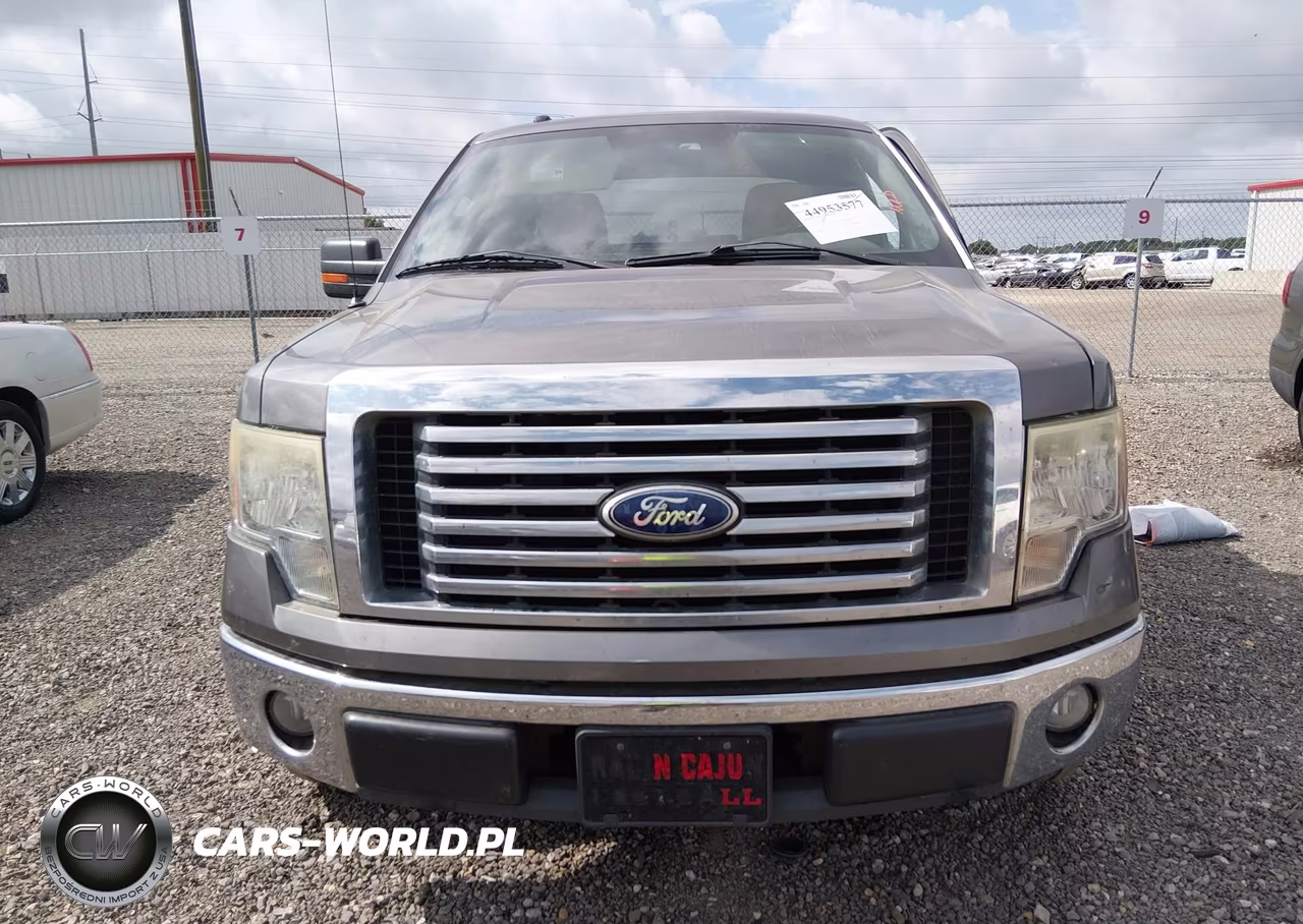 2010 Ford F-150 Fx2 Sport-Stx-Xl-Xlt VIN:1FTEX1C84AKE62513 - 13