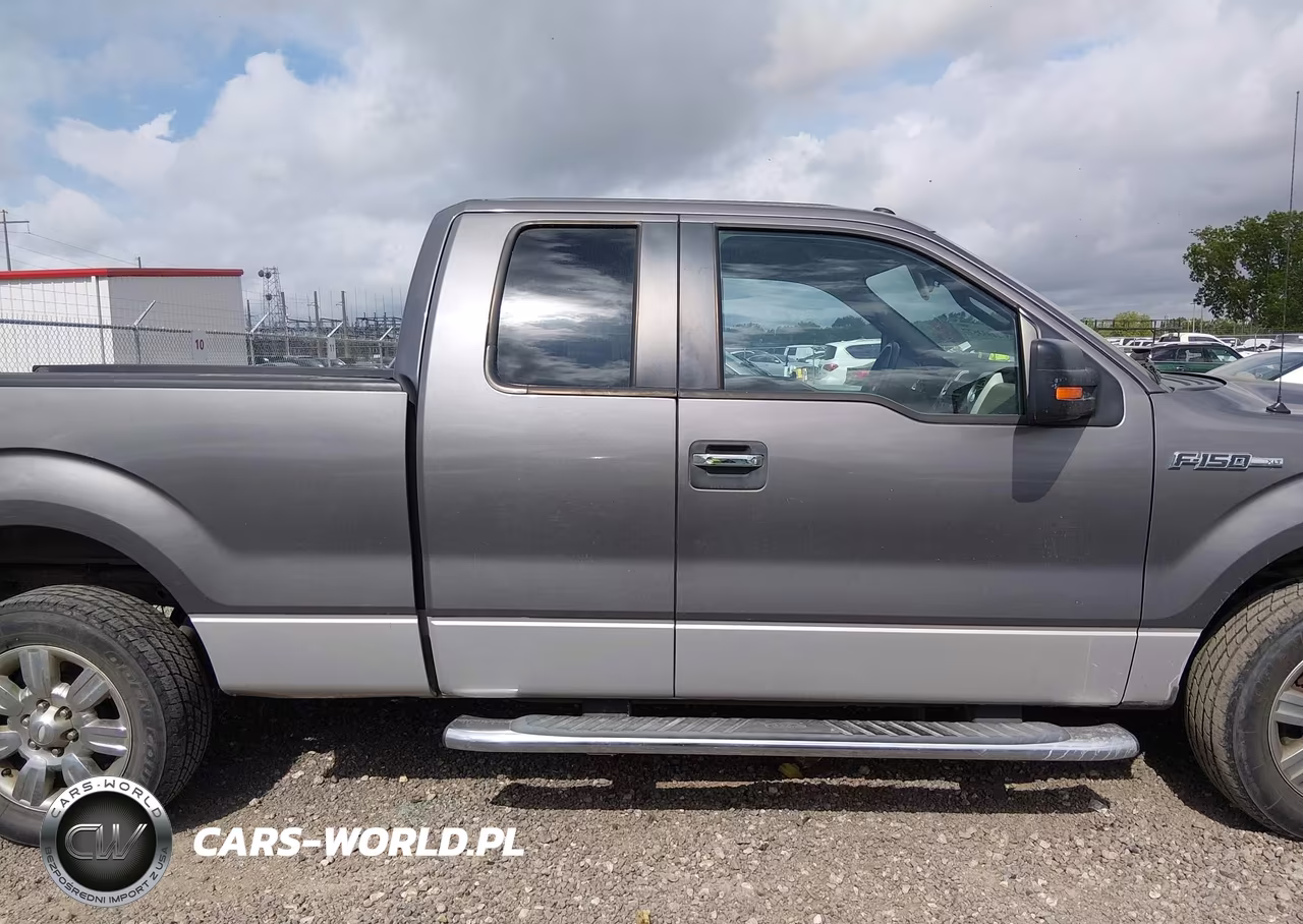 2010 Ford F-150 Fx2 Sport-Stx-Xl-Xlt VIN:1FTEX1C84AKE62513 - 14