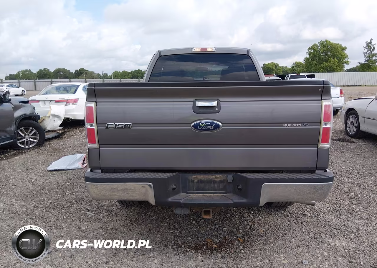 2010 Ford F-150 Fx2 Sport-Stx-Xl-Xlt VIN:1FTEX1C84AKE62513 - 17