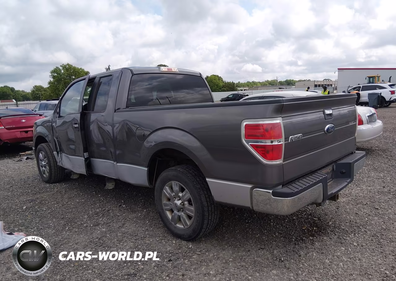 2010 Ford F-150 Fx2 Sport-Stx-Xl-Xlt VIN:1FTEX1C84AKE62513 - 3