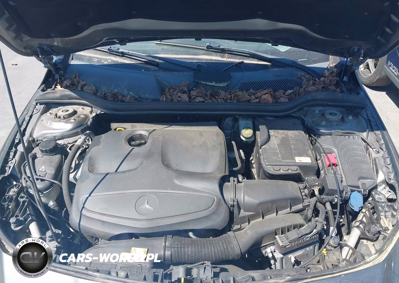 2014 Mercedes-Benz Cla 250 VIN:WDDSJ4EB7EN025257 - 10