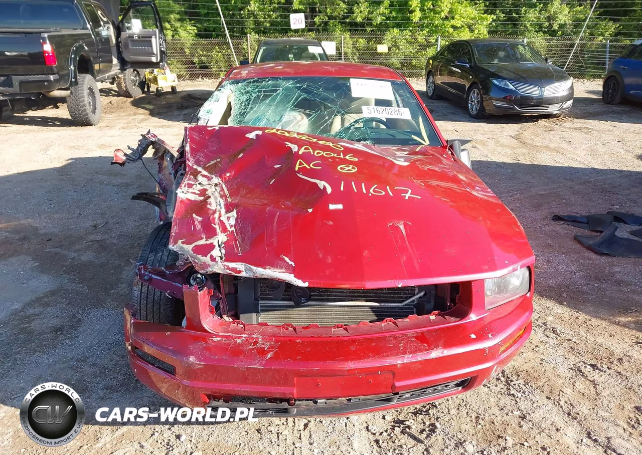 2006 Ford Mustang VIN:1ZVFT80N765111617 - 12