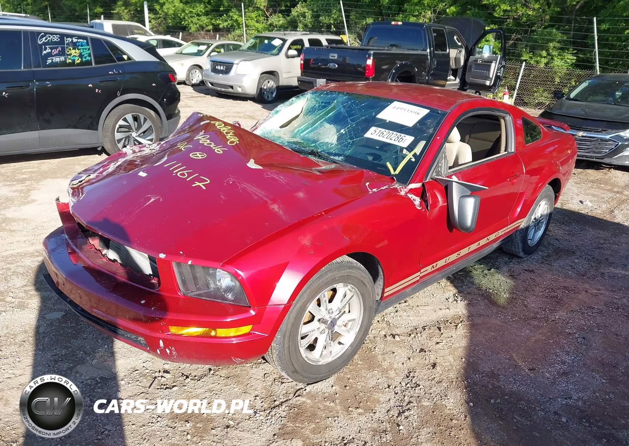 2006 Ford Mustang VIN:1ZVFT80N765111617 - 2