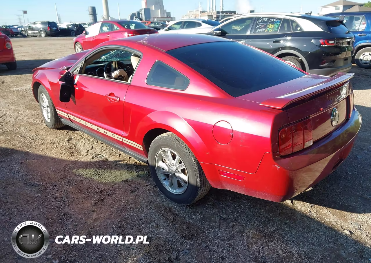 2006 Ford Mustang VIN:1ZVFT80N765111617 - 3