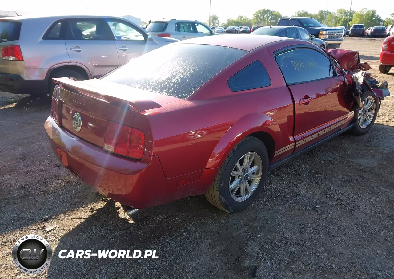 2006 Ford Mustang VIN:1ZVFT80N765111617 - 4