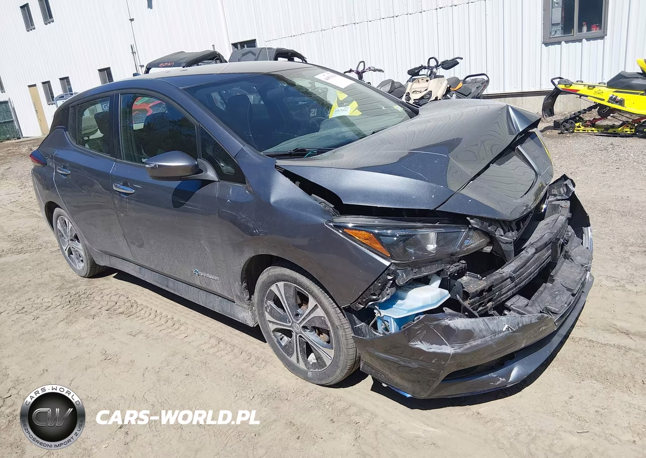 2019 Nissan Leaf Sv Plus