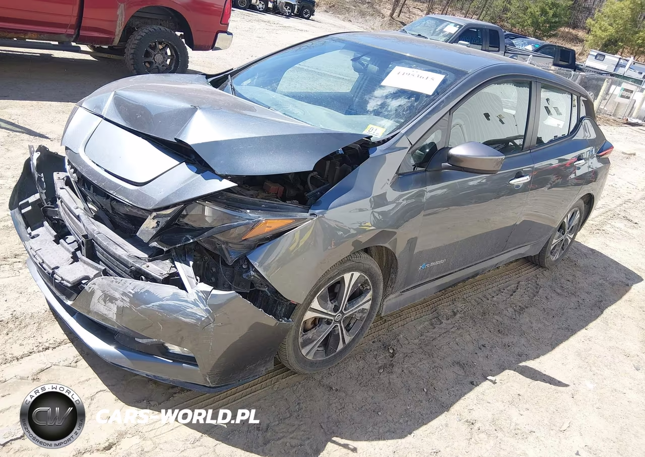 2019 Nissan Leaf Sv Plus VIN:1N4BZ1CP4KC317767 - 2